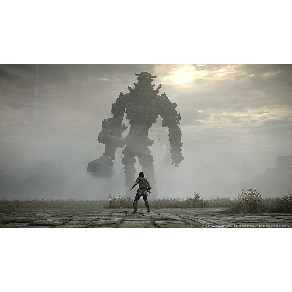 shadow of colossus pc steam